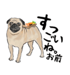 寿司犬 ¥120（個別スタンプ：22）