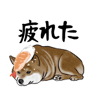 寿司犬 ¥120（個別スタンプ：26）