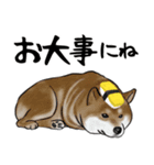 寿司犬 ¥120（個別スタンプ：27）