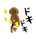 寿司犬 ¥120（個別スタンプ：28）