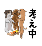 寿司犬 ¥120（個別スタンプ：31）