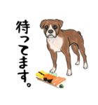 寿司犬 ¥120（個別スタンプ：32）