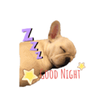 フレブルのマイル（個別スタンプ：3）