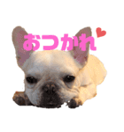 フレブルのマイル（個別スタンプ：12）
