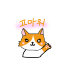 こやんいスタンプ（個別スタンプ：5）