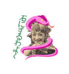 miss viviana japan 2021（個別スタンプ：16）