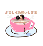 miss viviana japan 2021（個別スタンプ：21）