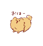 ポメラニアンの千子ちゃん色々スタンプ（個別スタンプ：2）