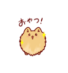 ポメラニアンの千子ちゃん色々スタンプ（個別スタンプ：3）