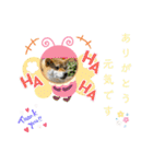 柴犬さんで気持ち伝えよう！（個別スタンプ：4）