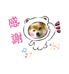 柴犬さんで気持ち伝えよう！（個別スタンプ：6）