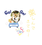 柴犬さんで気持ち伝えよう！（個別スタンプ：17）