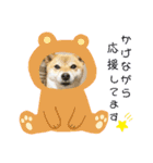 柴犬さんで気持ち伝えよう！（個別スタンプ：21）