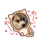 CrystalHasMaraDogs（個別スタンプ：7）