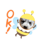 CrystalHasMaraDogs（個別スタンプ：31）