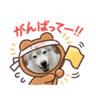 CrystalHasMaraDogs（個別スタンプ：32）