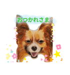 いぶぅクン_1（個別スタンプ：3）