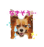 いぶぅクン_1（個別スタンプ：7）