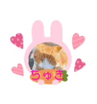 イッヌ ネッコ 好きの飼い主（個別スタンプ：6）
