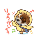 イッヌ ネッコ 好きの飼い主（個別スタンプ：14）