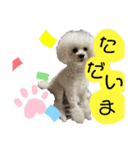 音麦歌スタンプ（個別スタンプ：4）