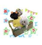 音麦歌スタンプ（個別スタンプ：8）