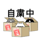 デカ動く 三匹の擦れねこ3（個別スタンプ：21）