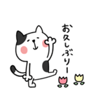 ぶちネコのねこ（個別スタンプ：36）