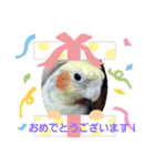 インコちゃんスタンプ(お仕事用)（個別スタンプ：4）