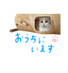 じろのすたんぷ（個別スタンプ：19）