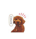 シェリースタンプ2☆（個別スタンプ：2）