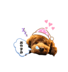 シェリースタンプ2☆（個別スタンプ：4）