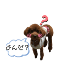 シェリースタンプ2☆（個別スタンプ：7）