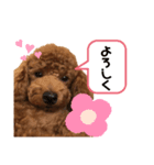 シェリースタンプ2☆（個別スタンプ：8）