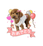 シェリースタンプ1♡（個別スタンプ：1）