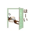 シェリースタンプ1♡（個別スタンプ：3）