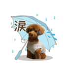 シェリースタンプ1♡（個別スタンプ：4）