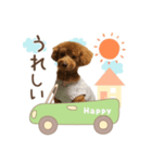 シェリースタンプ1♡（個別スタンプ：5）