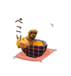 シェリースタンプ1♡（個別スタンプ：6）
