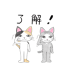 猫ののんびりした日常（個別スタンプ：6）