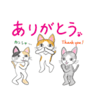 猫ののんびりした日常（個別スタンプ：19）