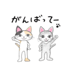 猫ののんびりした日常（個別スタンプ：23）