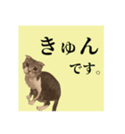 Glicoの青春スタンプ（個別スタンプ：1）