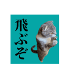 Glicoの青春スタンプ（個別スタンプ：2）