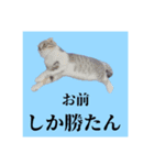 Glicoの青春スタンプ（個別スタンプ：3）