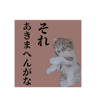 Glicoの青春スタンプ（個別スタンプ：7）