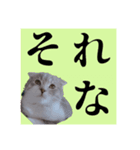 Glicoの青春スタンプ（個別スタンプ：8）