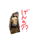 ♡〜ペットの日常会話〜♡（個別スタンプ：7）