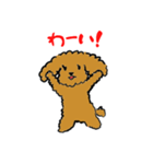 かわいい トイプードル プリン先生（個別スタンプ：2）