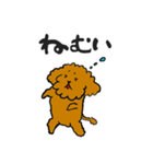 かわいい トイプードル プリン先生（個別スタンプ：5）